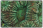 Green Favites Brain Coral